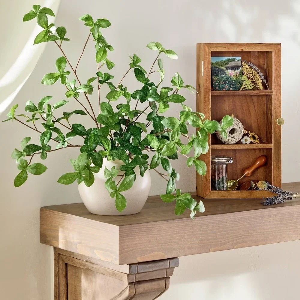 Wall Mounted Wood Display Shadow Box - Hearth & Hand Magnolia, Target 2026